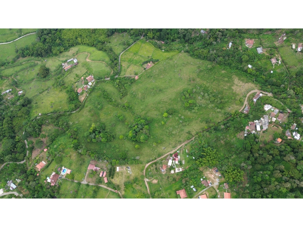 LOTE 11.76 HECTAREAS EN PALERMO, TAMESIS, ANTIOQUIA. - 3