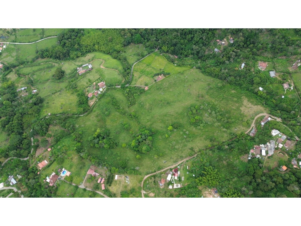 LOTE 11.76 HECTAREAS EN PALERMO, TAMESIS, ANTIOQUIA. - 4