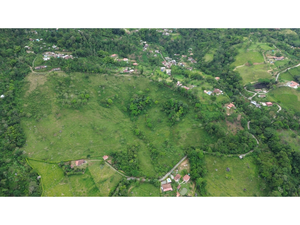 LOTE 11.76 HECTAREAS EN PALERMO, TAMESIS, ANTIOQUIA. - 5