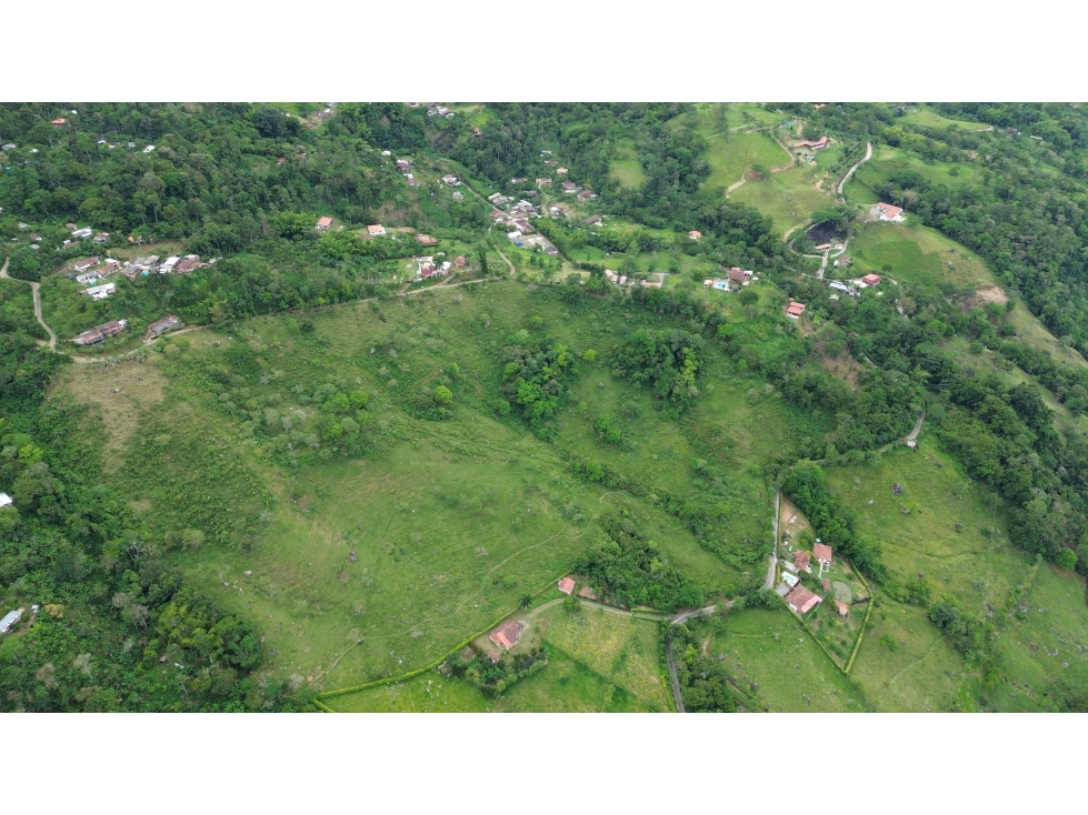 LOTE 11.76 HECTAREAS EN PALERMO, TAMESIS, ANTIOQUIA. - 6