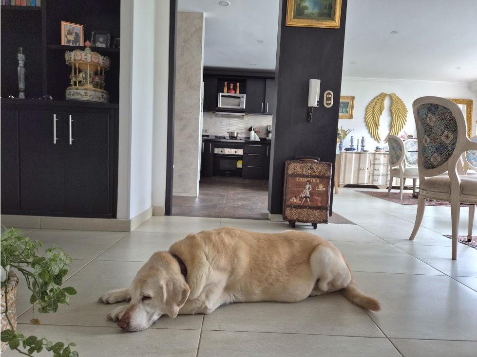 VENDO APARTAMENTO DE TRES HABITACIONES REMODELADO EN SANTA BARBARA