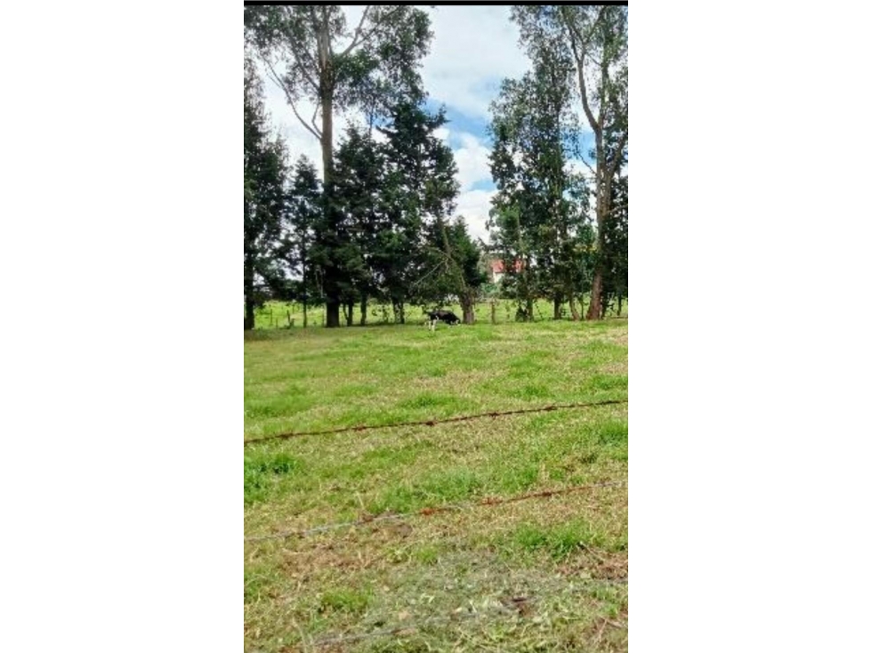 Lote en venta en venta en la Balsa, Chía - 2
