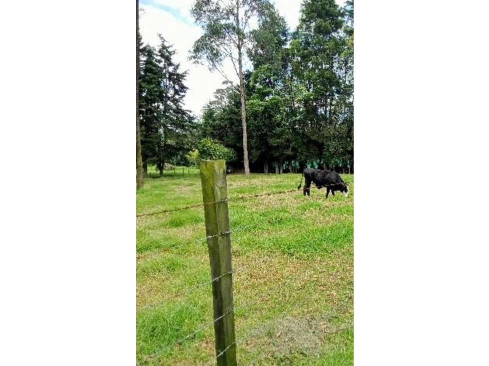 Lote en venta en venta en la Balsa, Chía - 3