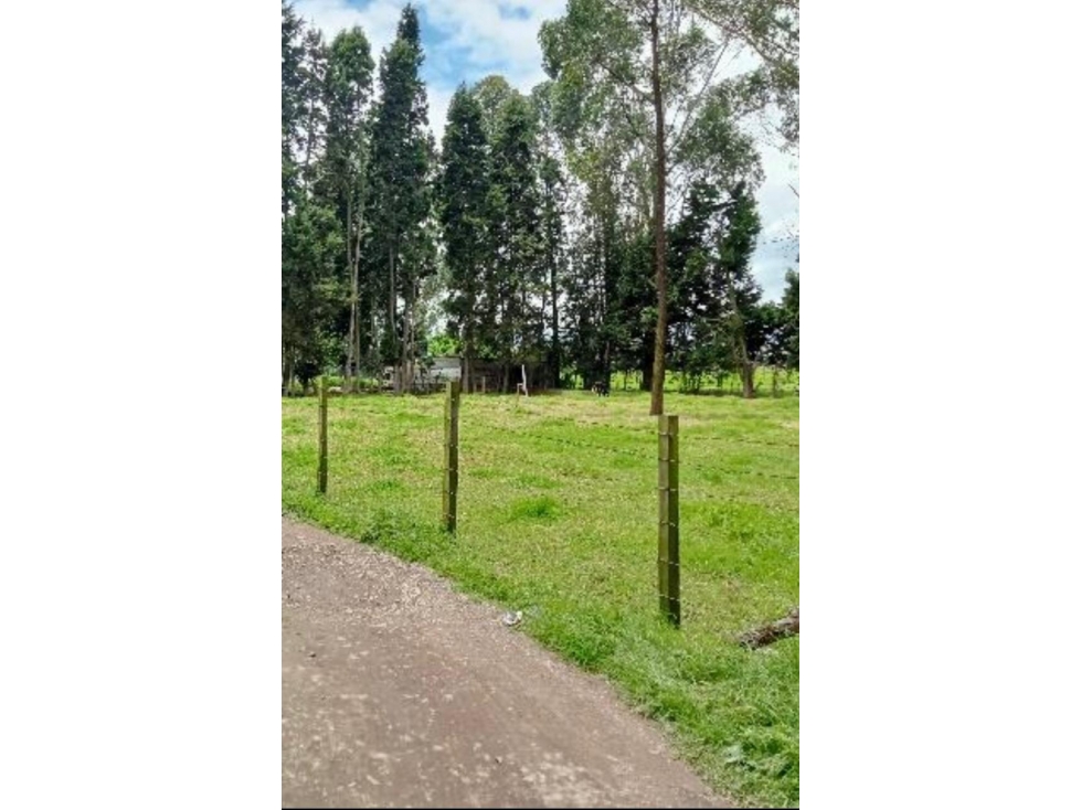 Lote en venta en venta en la Balsa, Chía - 4