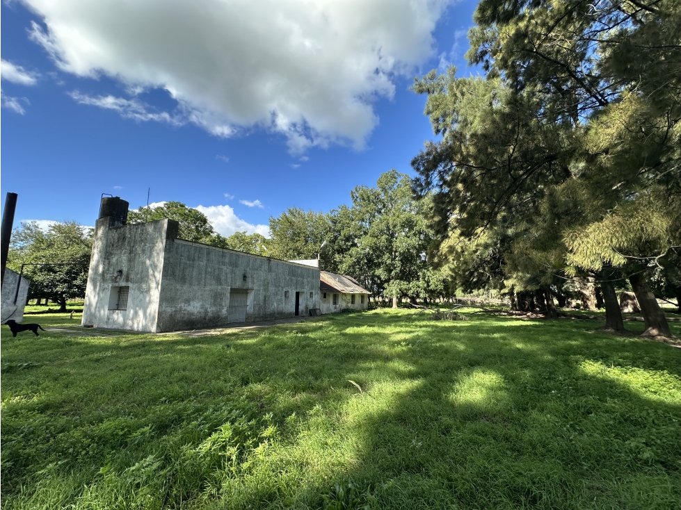 CAMPO EN LA CHOZA VENTA LUJÁN / LAS HERAS - 3