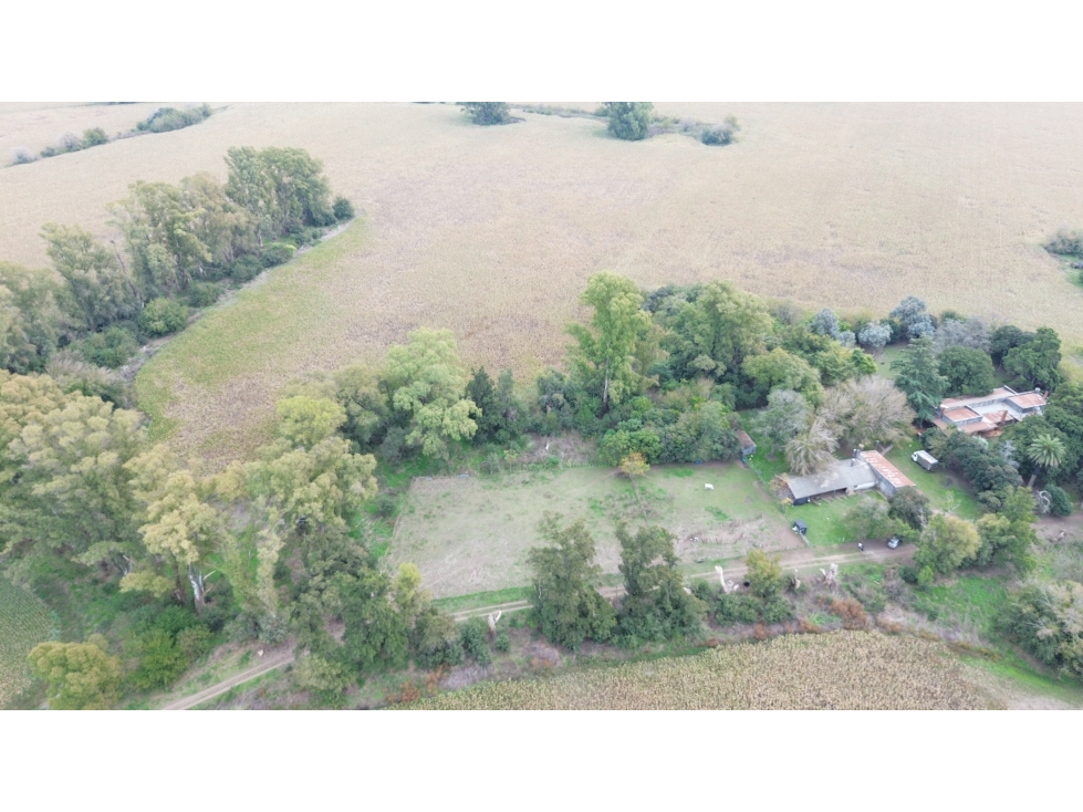 CAMPO AGRICOLA VENTA CARLOS KEEN - 5