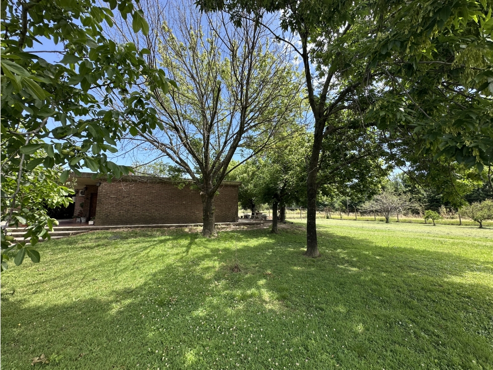 CAMPO AGRICOLA VENTA EN DERQUI PILAR - 4
