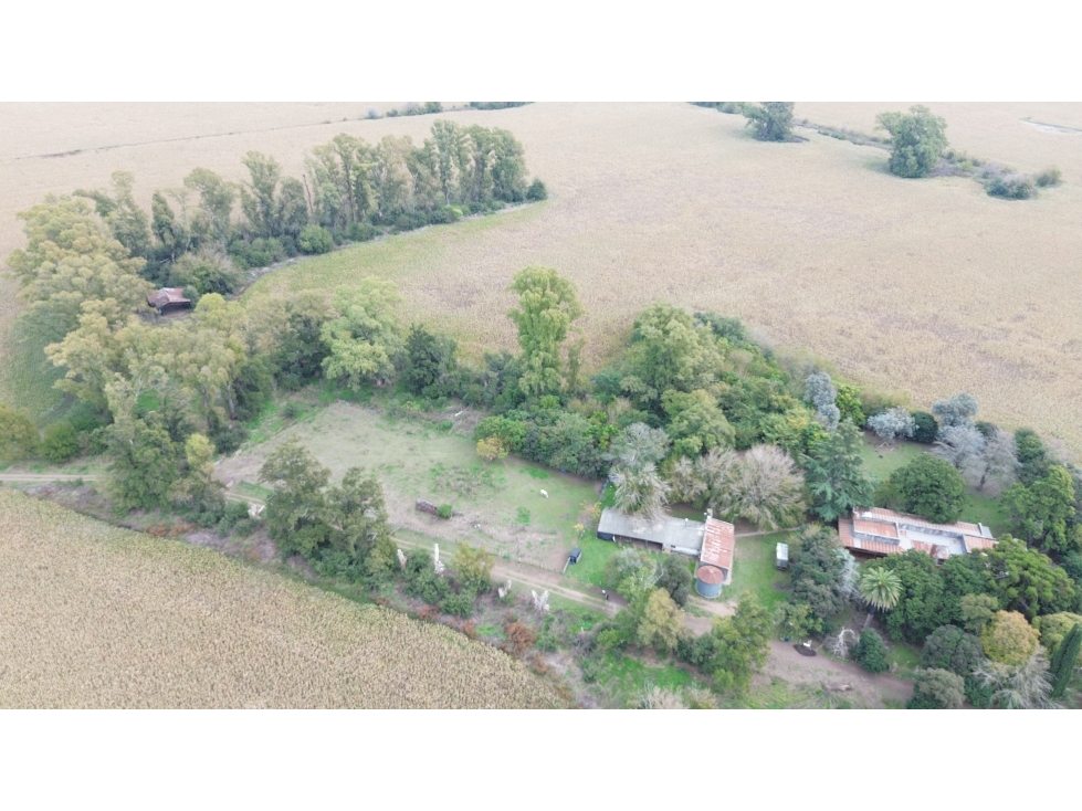 CAMPO AGRICOLA VENTA CARLOS KEEN - 6