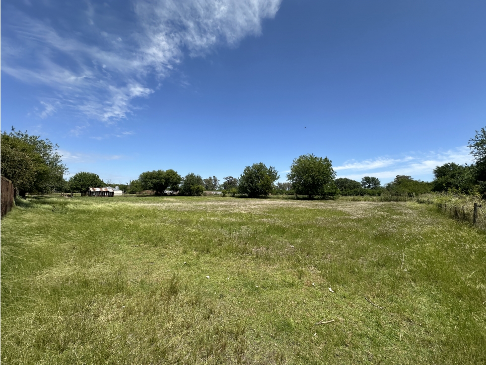 CAMPO AGRICOLA VENTA EN DERQUI PILAR - 4