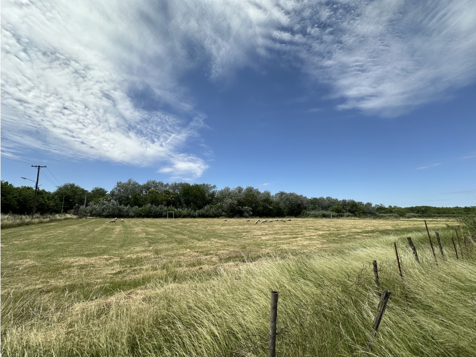 CAMPO AGRICOLA VENTA EN DERQUI PILAR - 6
