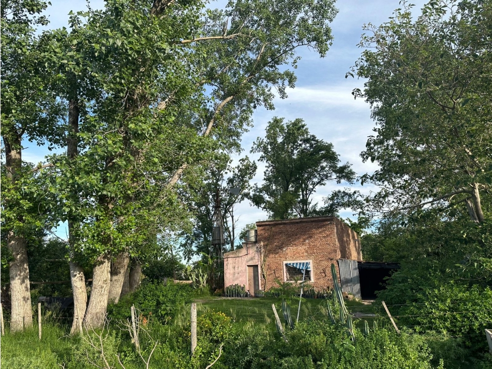 FRACCIÓN, CAMPO EN CARLOS KEEN LUJÁN VENTA - 5