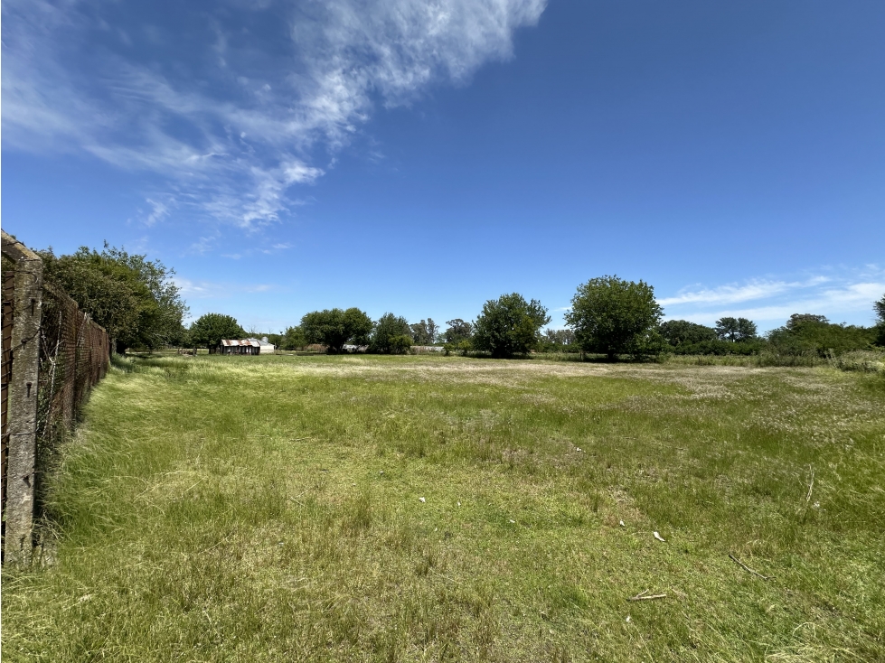 CAMPO AGRICOLA VENTA EN DERQUI PILAR - 4