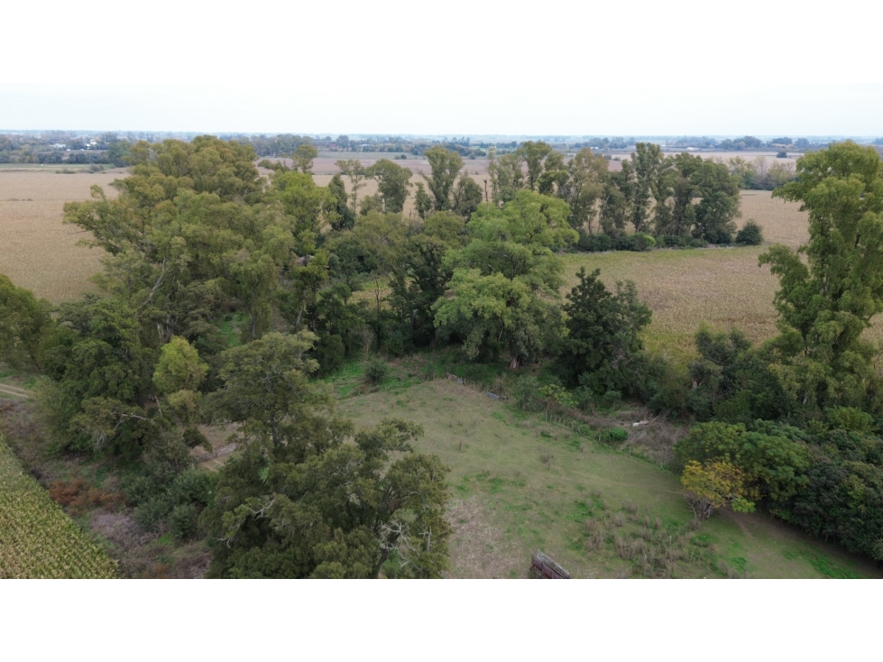 CAMPO AGRICOLA VENTA CARLOS KEEN - 4
