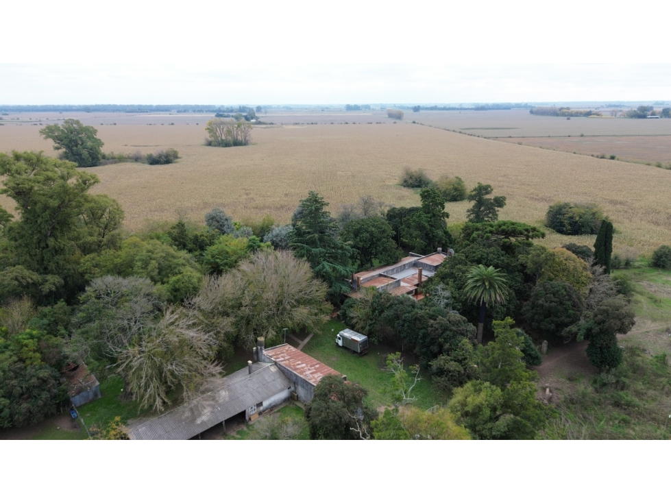 CAMPO AGRICOLA VENTA CARLOS KEEN - 3