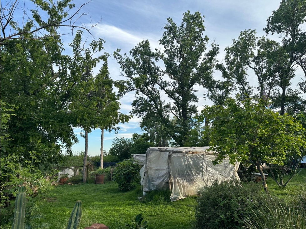 FRACCIÓN, CAMPO EN CARLOS KEEN LUJÁN VENTA - 6