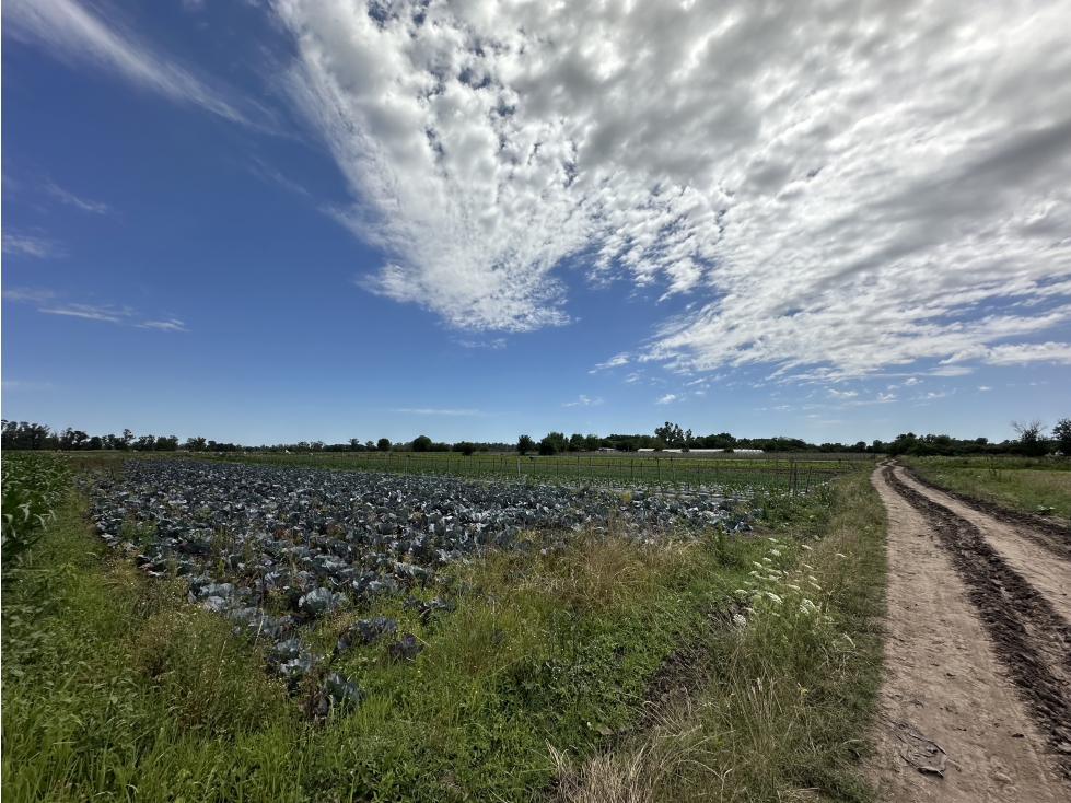 CAMPO AGRICOLA VENTA EN DERQUI PILAR - 3