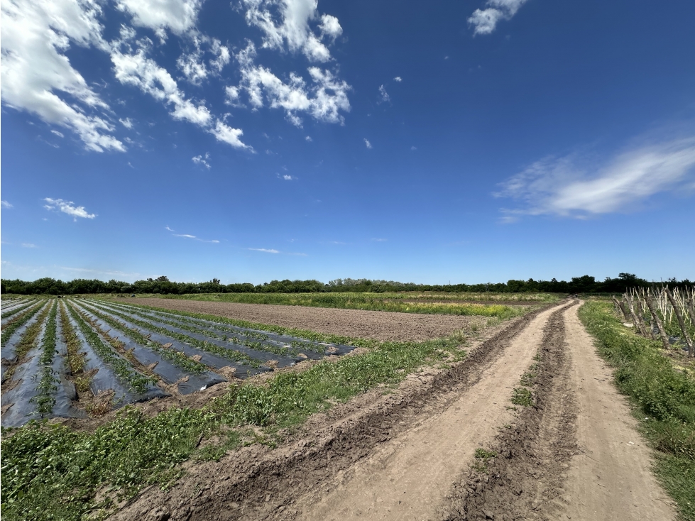 CAMPO AGRICOLA VENTA EN DERQUI PILAR - 5