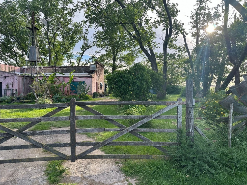 FRACCIÓN, CAMPO EN CARLOS KEEN LUJÁN VENTA - 4