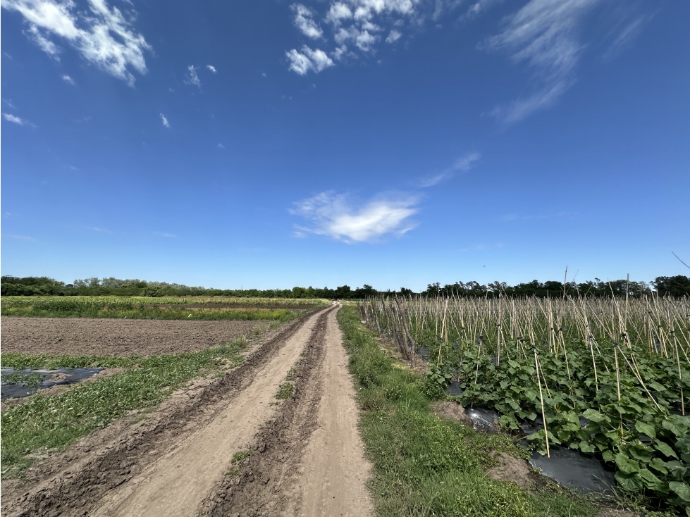 CAMPO AGRICOLA VENTA EN DERQUI PILAR - 6