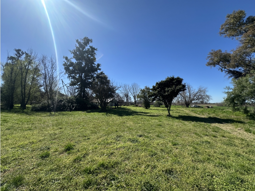 FRACCIÓN CAMPO VENTA CARLOS KEEN LUJÁN - 4