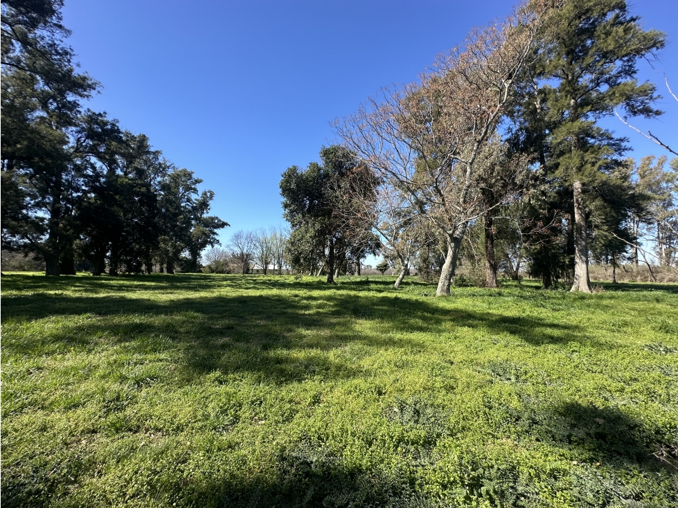 FRACCIÓN CAMPO VENTA CARLOS KEEN LUJÁN - 5