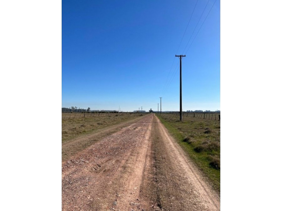 FRACCION DE CAMPO VENTA LUJÁN - 6