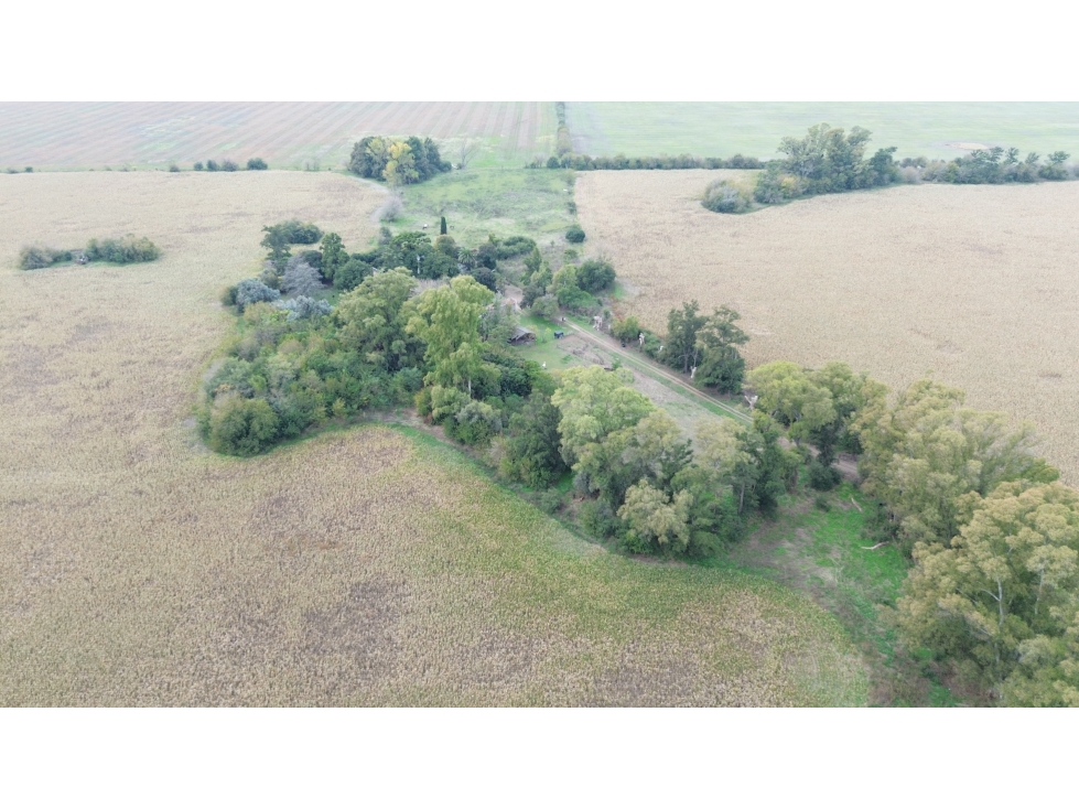 CAMPO AGRICOLA VENTA CARLOS KEEN - 2