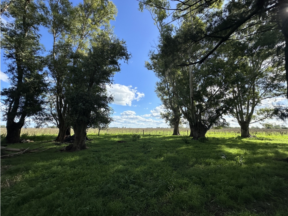 CAMPO EN LA CHOZA VENTA LUJÁN / LAS HERAS - 5