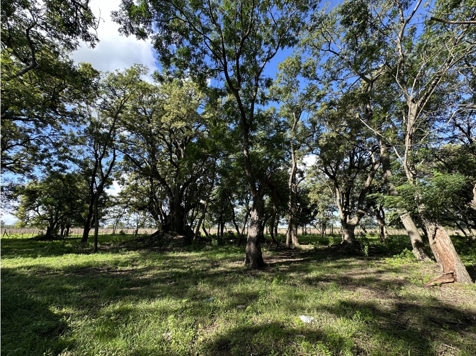 CAMPO EN LA CHOZA VENTA LUJÁN / LAS HERAS - 6