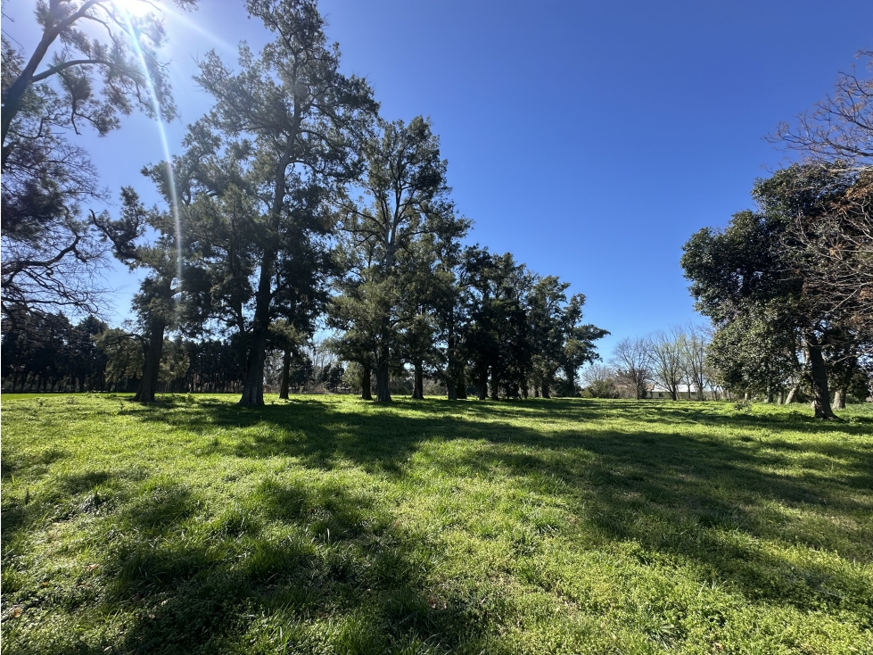 FRACCIÓN CAMPO VENTA CARLOS KEEN LUJÁN - 3