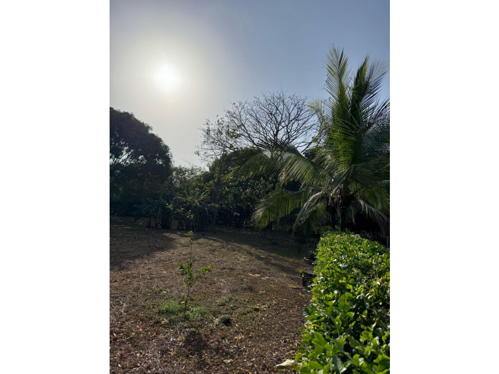 VENTA FINCA CARTAGENA — foto 5