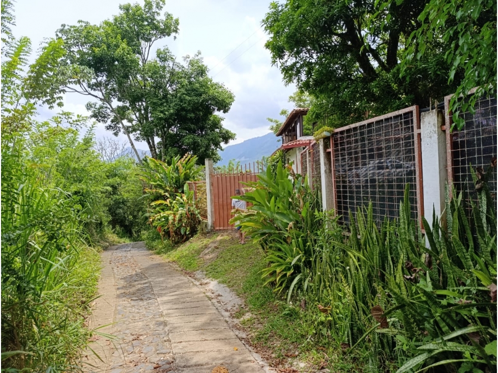 VENTA FINCA VENECIA — foto 5