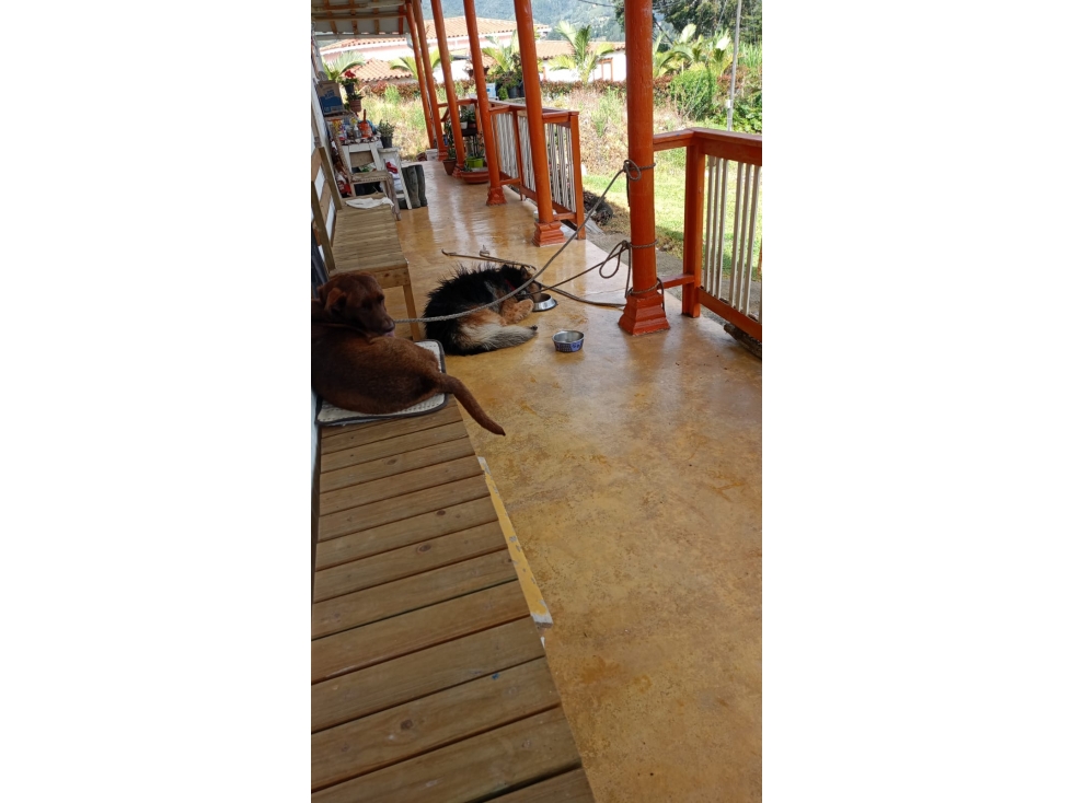 VENTA CASA CAMPESTRE LA CHAPA — foto 6
