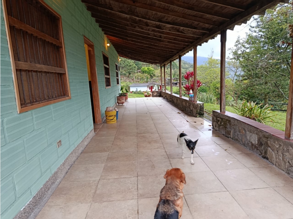 VENTA FINCA BARBOSA ISAZA - 5
