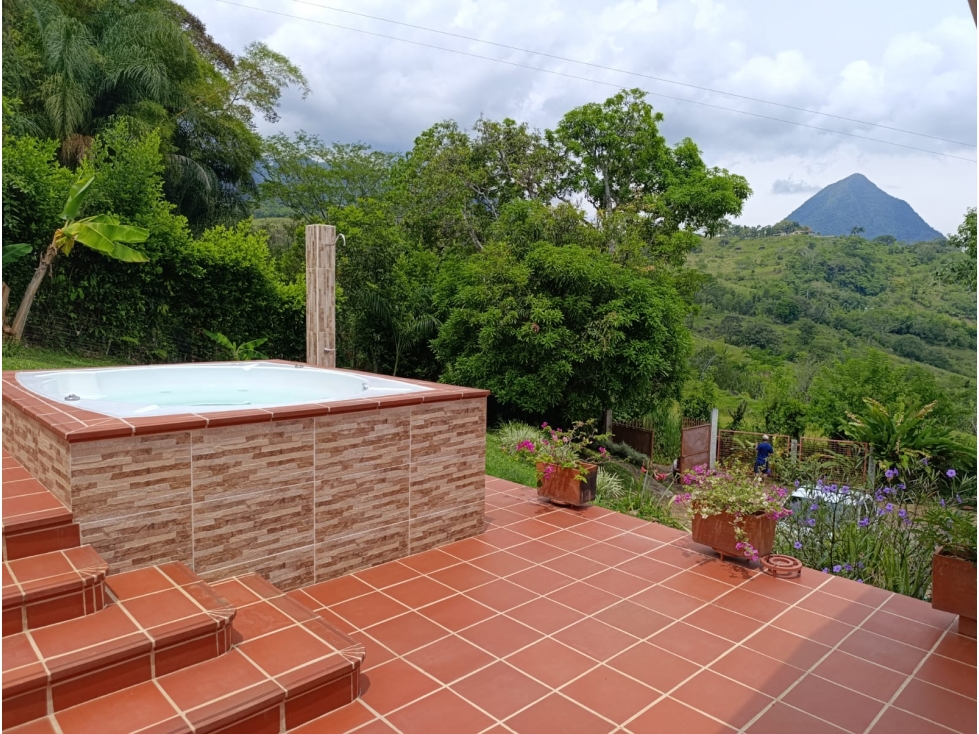 VENTA FINCA VENECIA — foto 2