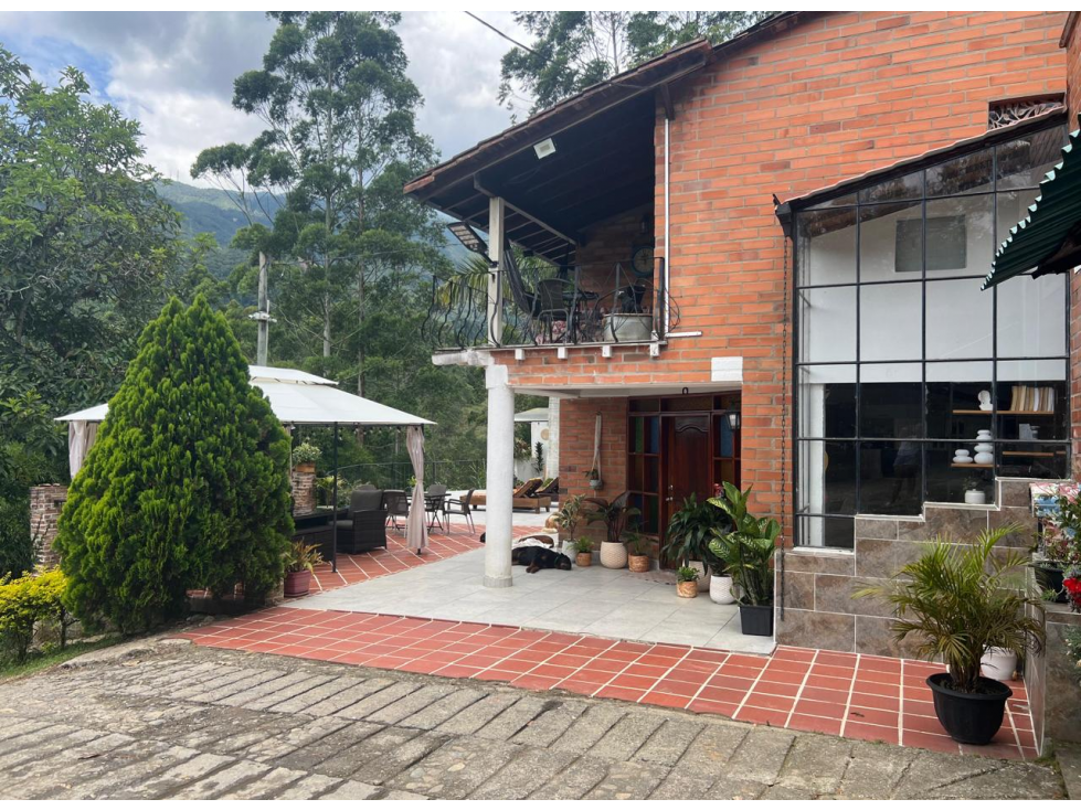 Venta de Finca en la Miel Caldas — foto 4
