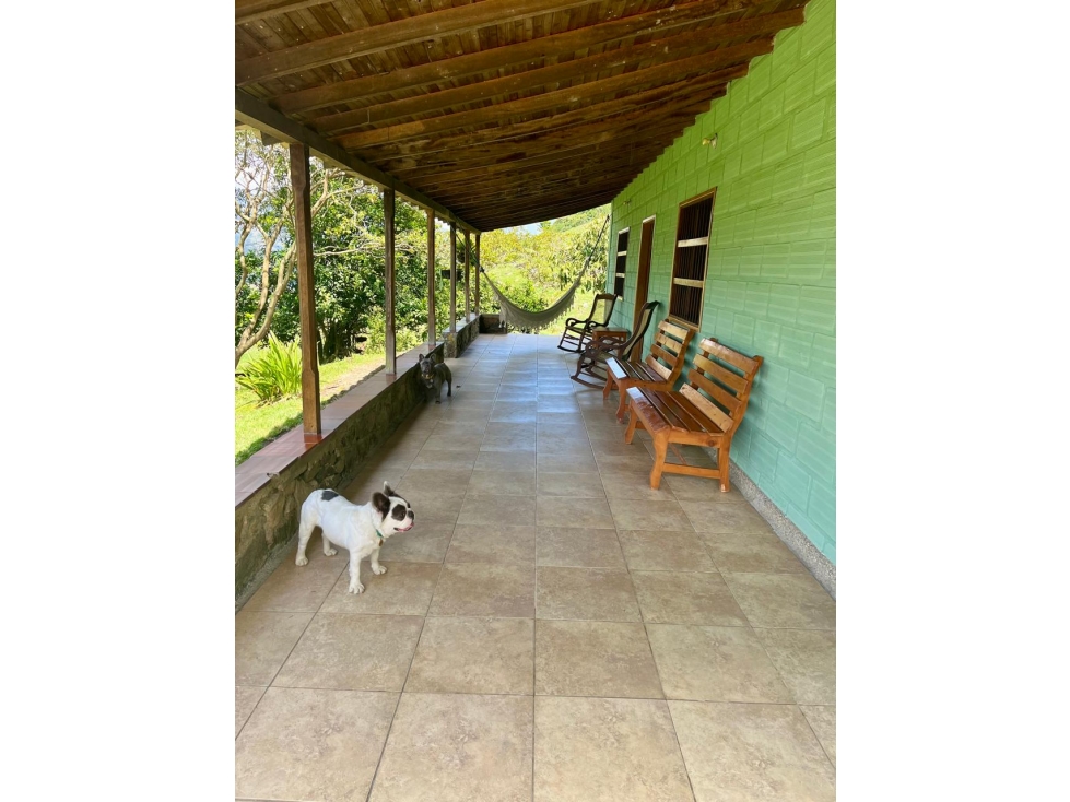 VENTA FINCA BARBOSA ISAZA - 6