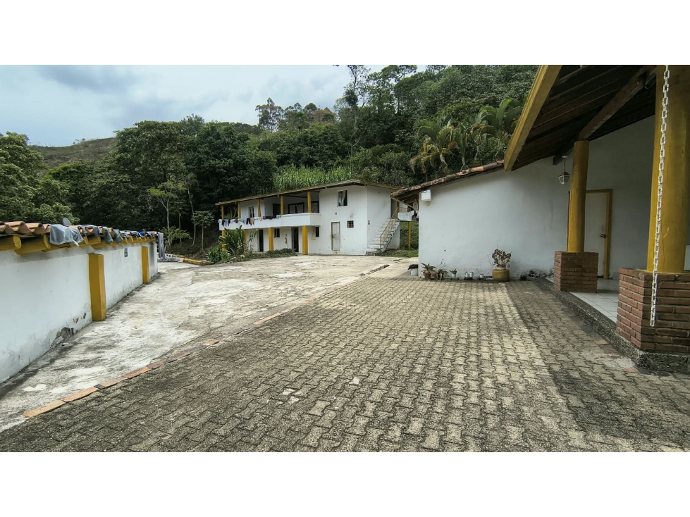 FINCA FREDONIA EL CINCO - 2