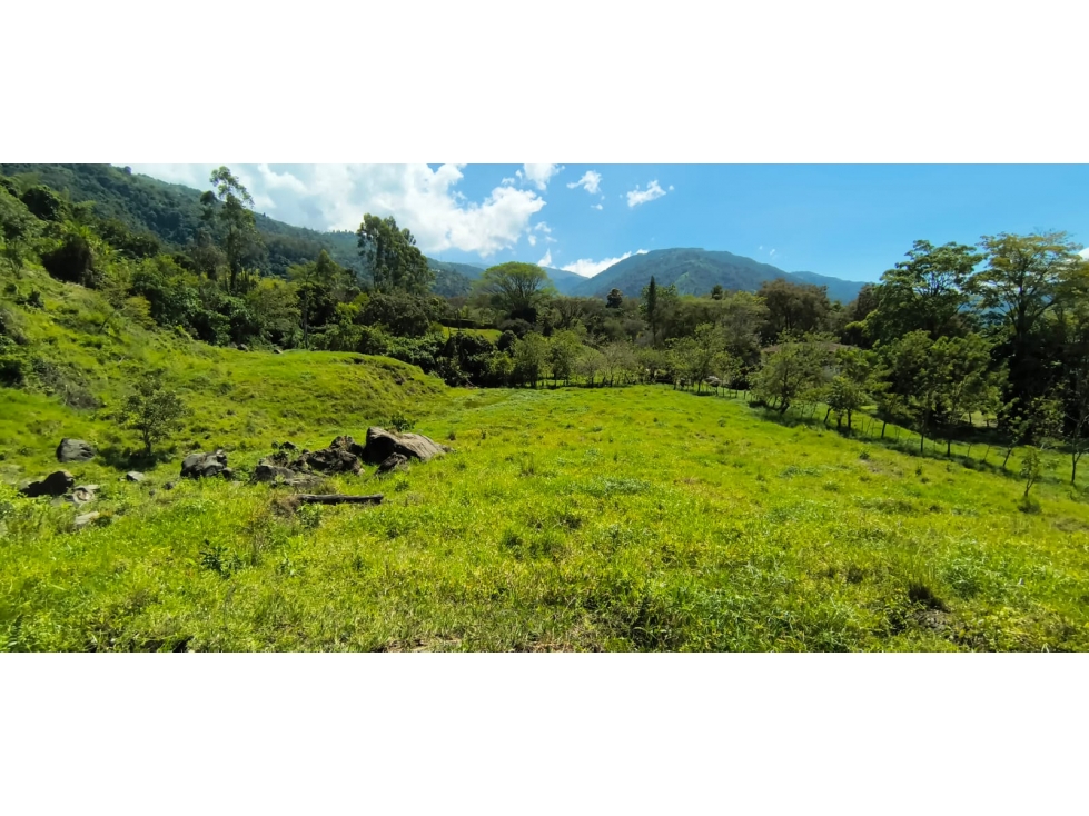 VENTA LOTE AMAGA - 6
