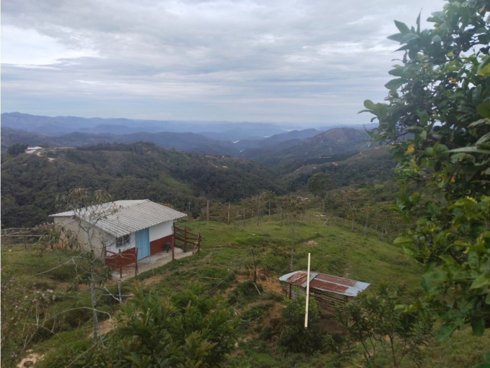 VENTA DE FINCA ALEJANDRIA - 1