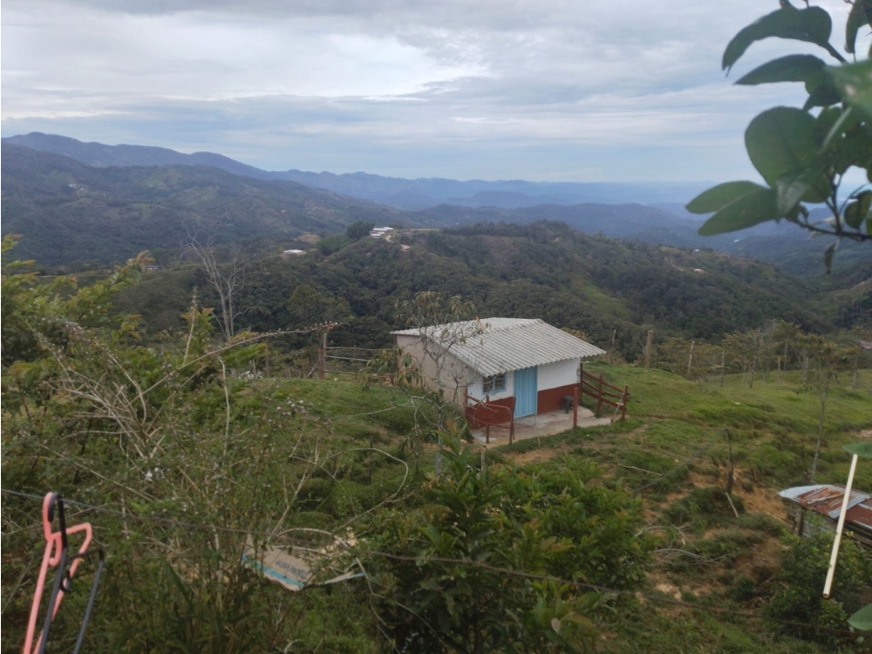 VENTA DE FINCA ALEJANDRIA - 2