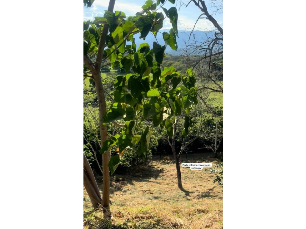 VENTA LOTE TERRENO SOPETRAN — foto 3