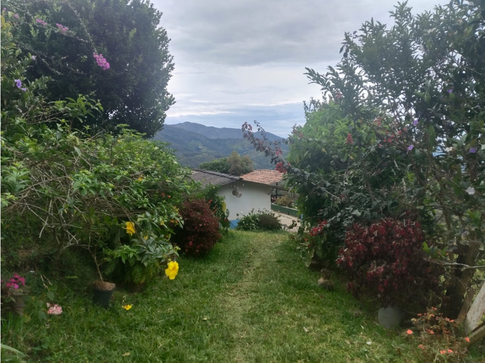 VENTA DE FINCA ALEJANDRIA - 3