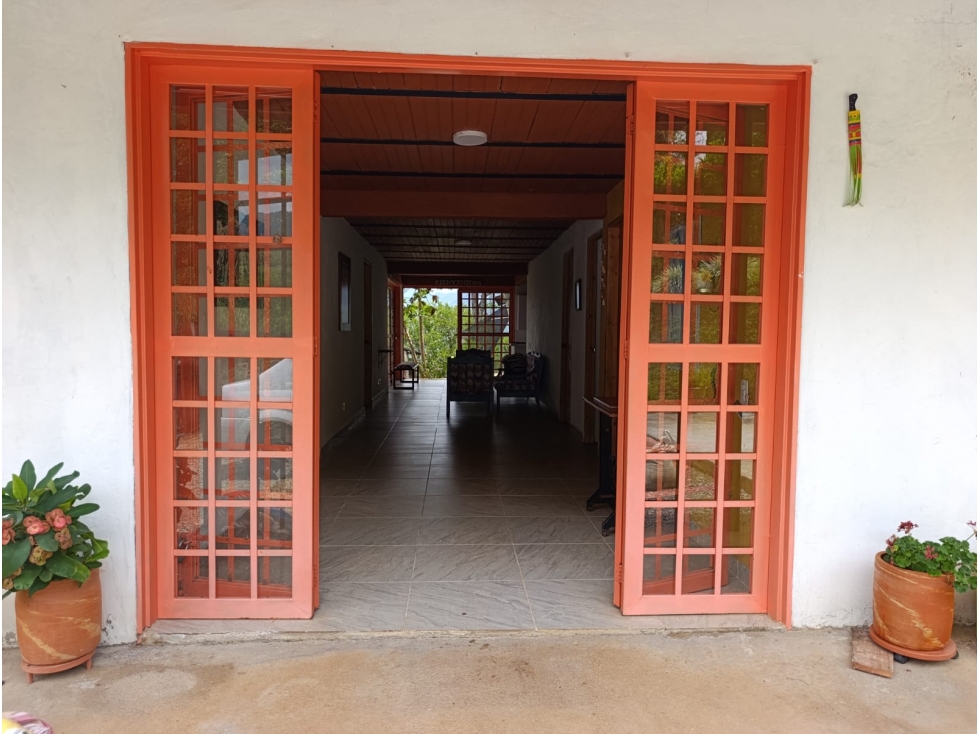 VENTA FINCA VENECIA — foto 6