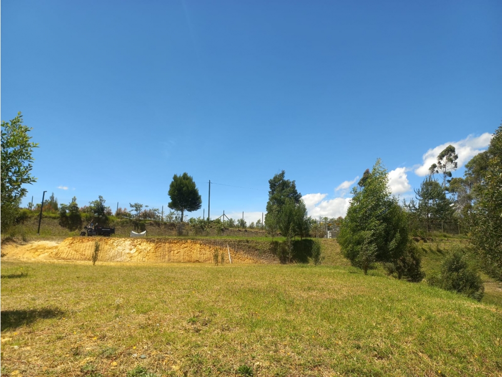 Venta de Lote N°7 en Parcelación Natura Arrayanes — foto 2
