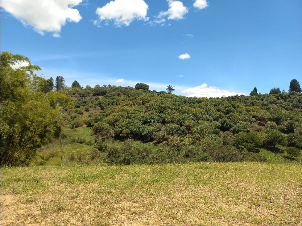 Venta de Lote N°37 en Parcelación Natura Arrayanes — foto 6