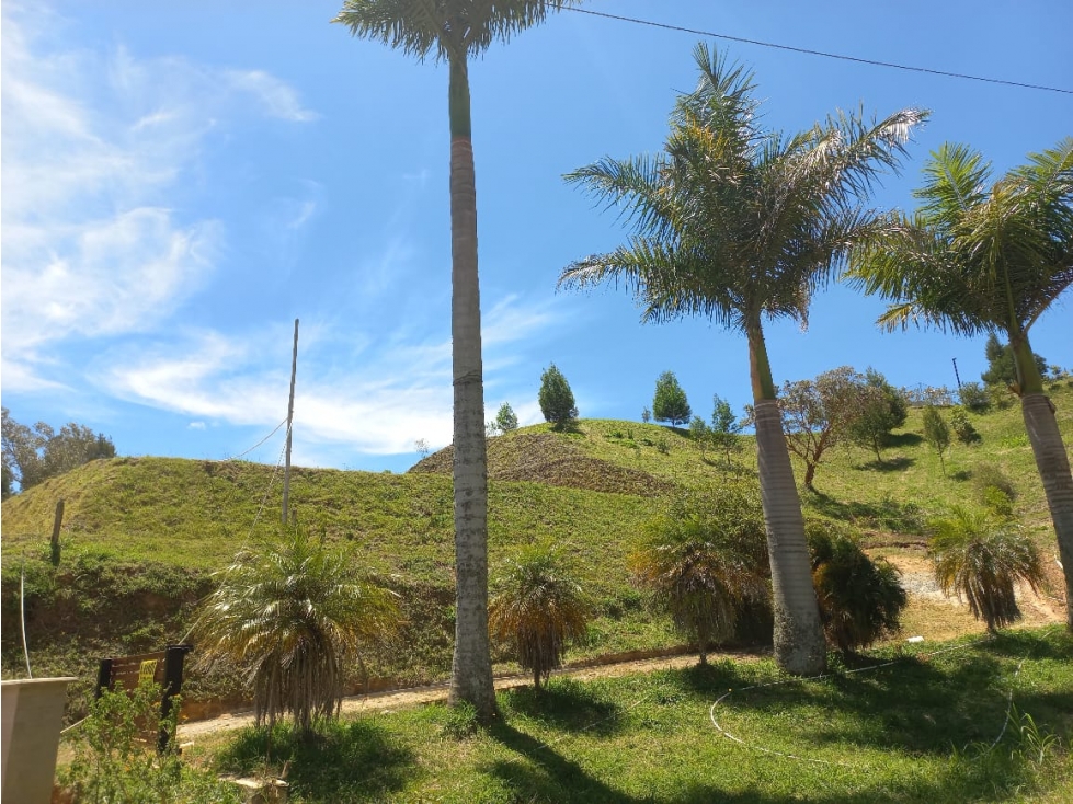 Venta de Lote N°32 en Parcelación Natura Arrayanes
