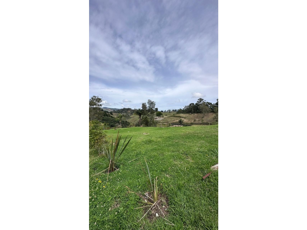 Venta de Lote N°5 en Parcelación Natura Arrayanes — foto 2
