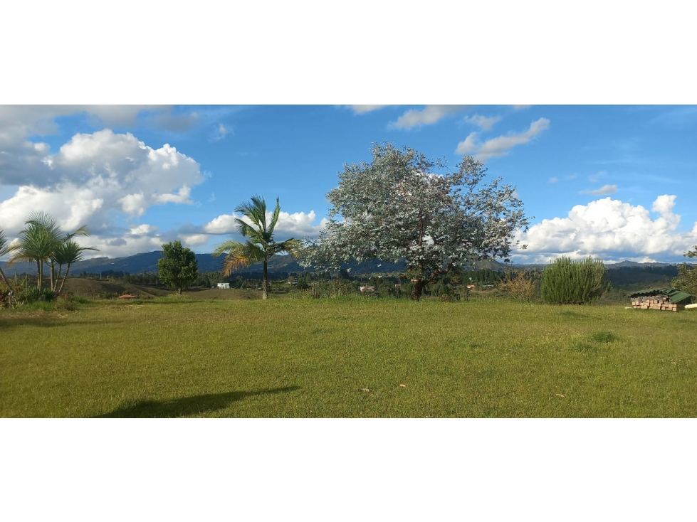 Venta Lote N° B7 Parcelación Pontevedra