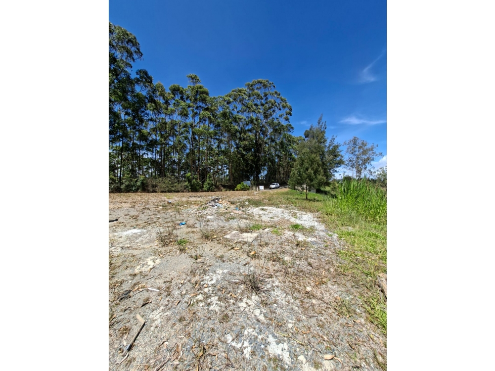 Venta de Lote N°12 en Parcelación Natura Arrayanes — foto 2
